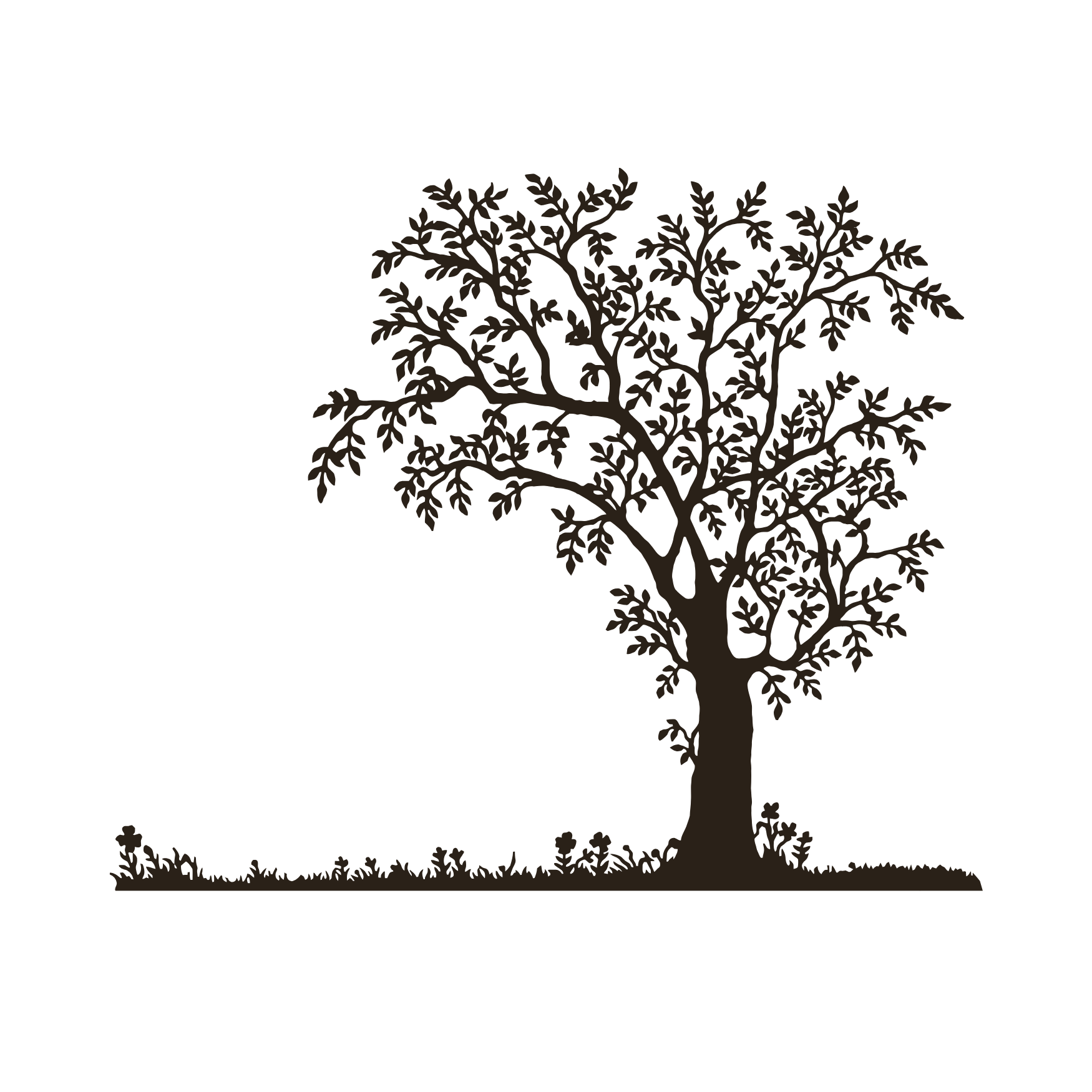 Olive tree illustration — Kostas Brother taverna Zakynthos Title: Olive Tree — Own Production